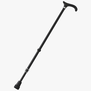 Walking Cane 3D