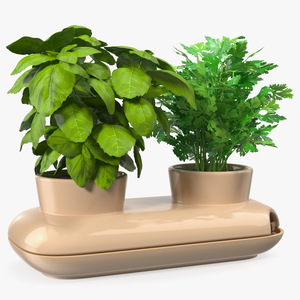 3D Sagaform Double Pot with Herbs Beige