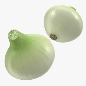 Onion 3D model