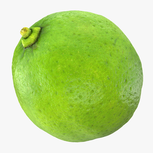 3D model Whole Lime