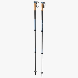 3D model Blue Black Diamond Carbon Trekking-Poles