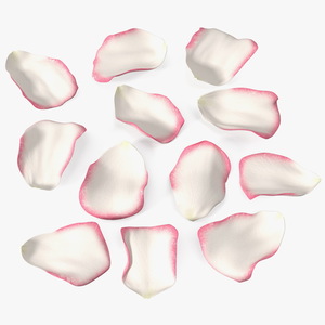 3D Rose Petals Pink