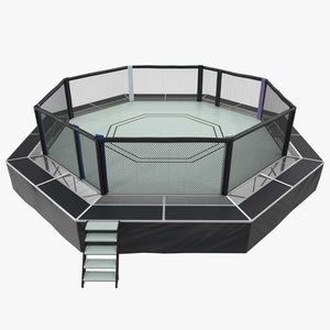 Fighting Octagon Arena 3D