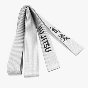 Jiu Jitsu White Belt Obi 3D model