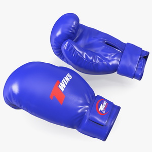 Special Boxing Gloves TWINS 3D