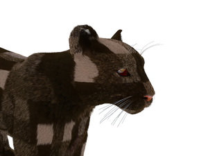 3D model Puma Fur