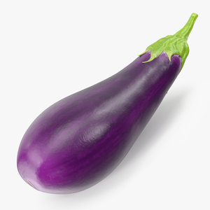 3D Solanum Melongena Eggplant