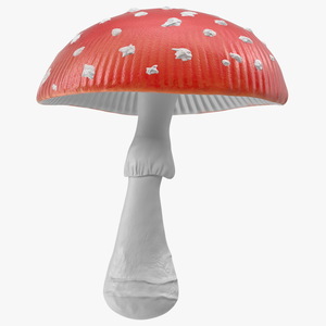 3D model Big Amanita Mushroom