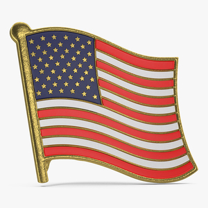 3D USA Flag Lapel Pin model