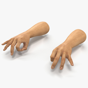 3D Man Hands 2 Pose 5 model