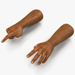 3D model African Man Hands 2 with Fur Rigged