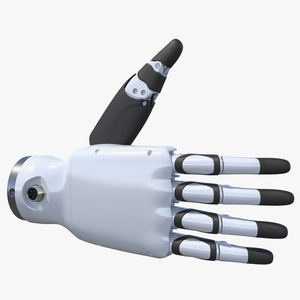 3D Dexterous Robotic Hand Right model