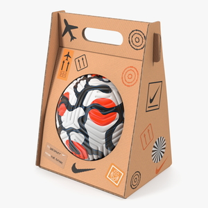 Package with Nike Flight Ball 2021 3D model