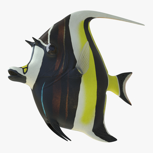 Moorish Idol Fish 3D