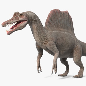 Spinosaurus Basic Pose 3D