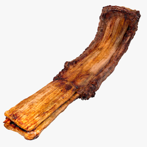 3D Grilled Rib