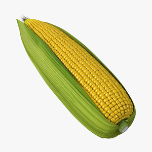 3D model Corn 2