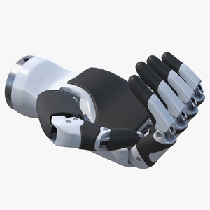 Dexterous Robotic Hand Right Rigged for Maya 3D model