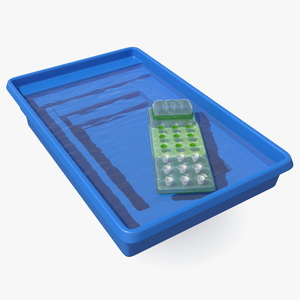 3D Pool and Inflatable Mattress model