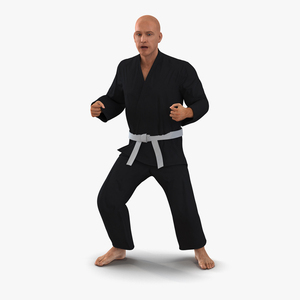 Karate Fighter Black Suit Rigged 3D