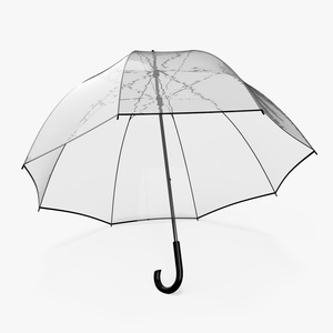 3D Black Handle Bubble Umbrella model