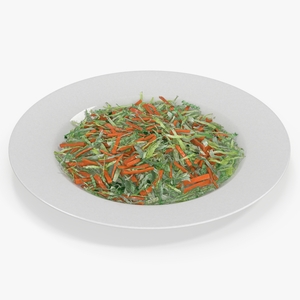 3D model Vegetable Salad on White Plate