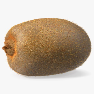 3D Tropical Fruit Kiwi with Fur model