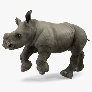 3D Baby Rhino Running Pose model