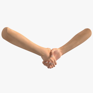 3D Handshake Female Hand Rigged model