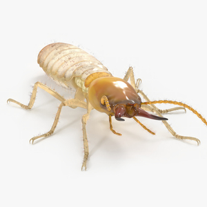 3D model Termite in Static Pose for 3D Print