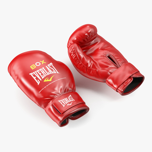 3D Training Boxing Gloves Everlast