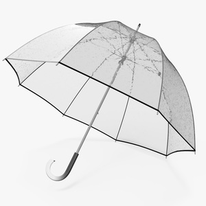 Bubble Umbrella Wet 3D model