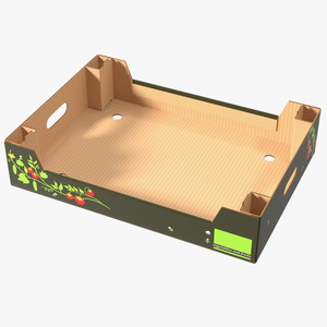 3D model Cardboard Fruit Tray Box with Print