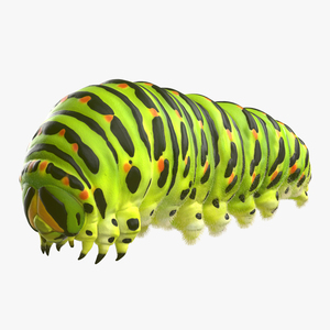 3D model Caterpillar with Fur