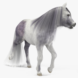 3D White Pony with Long Mane Fur Rigged