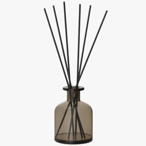 3D Aroma Reed Diffuser Bottle with Sticks model