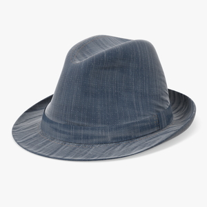 Jeans Hat 3D model