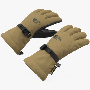 The North Face Mens Montana Etip GTX Mitt Gloves Beige 3D model