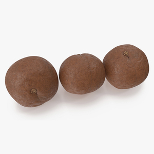 3D Macadamia Nuts in Shell model