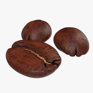 Roasted Coffee Bean 3D model