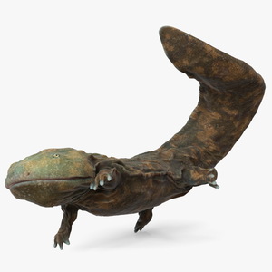 Aquatic Giant Salamander Light Swimming 3D model