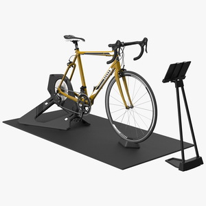 3D model Smart Cycle Trainer And Bronze Bike