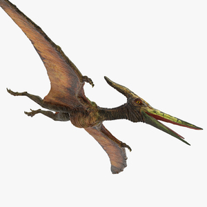 Pteranodon Flying Carnivorous Reptile 3D