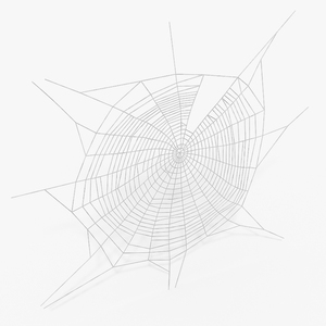 3D Spider Web in Circle Shape