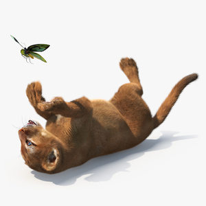 3D model Playful Puma Cub with Butterfly Fur