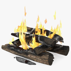 3D model Wood Fire and Embers