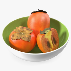 Persimmon Fruit Set 3D model