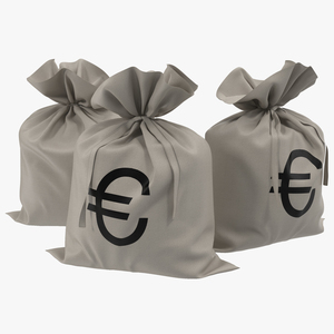 Money Bag Euro 3D model