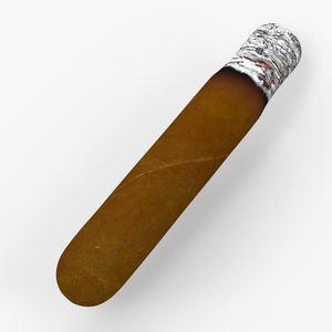 3D model Cuban Cigar Short Smoking