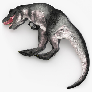 3D T Rex Sleep Pose